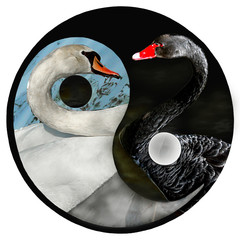 Obraz premium yin-yang 6