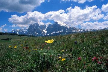 langkofel