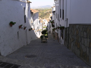 el gastor © JOSE ANTONIO LAVADO