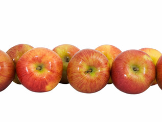 rows of apples
