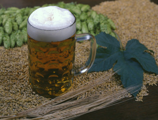 stille mit bier