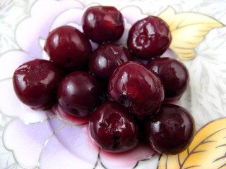 sour cherry
