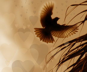 chocolate candy wrapper