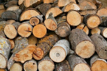 bois de chauffage