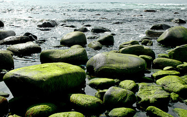 Big and small stones at shore covered with fresh greenery. Turquoise sea in the background.
