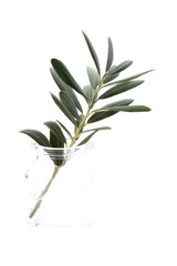 branche d& 39 olivier en verre