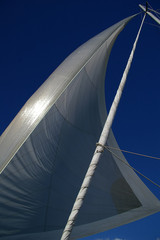 sail & mast.