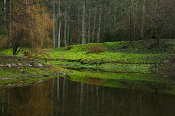 Fototapeta premium peaceful palanga park, lithuania