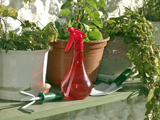 jardinería