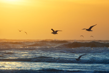 beach and sunset © Eric Gevaert