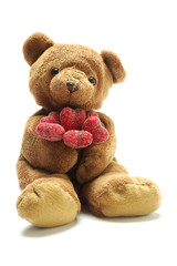 teddy bear in love