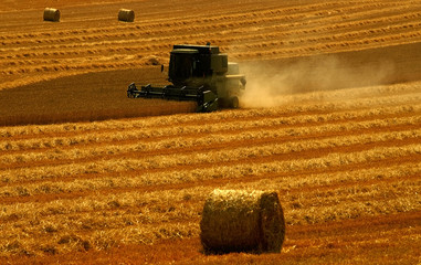 combined harvester