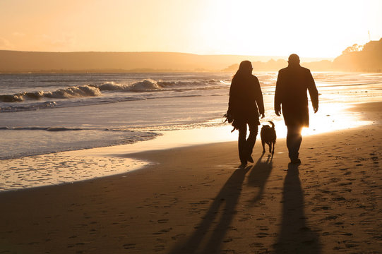 silhouettes on the sand