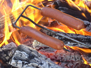 two hot dogs being roasted over fire