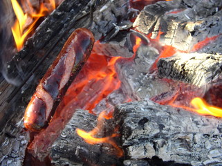 roasting a hot dog