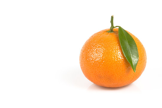 clemenvilla  citrus clementina