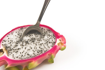 pitahaya red  hylocereus polyrhizus