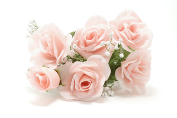 Obraz na płótnie Canvas pink roses