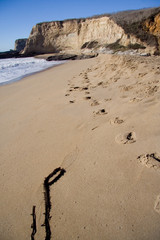 traces on beach