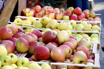 fruits