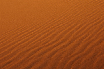 sahara desert