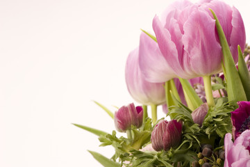 Obraz premium tulip, anemone, lilac & berries