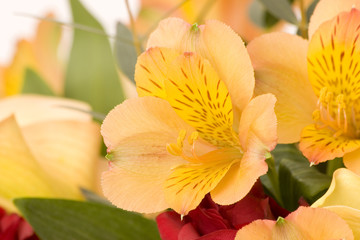 Obraz na płótnie Canvas tulips, carnations & roses