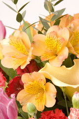 Fototapeta na wymiar tulips, carnations & roses