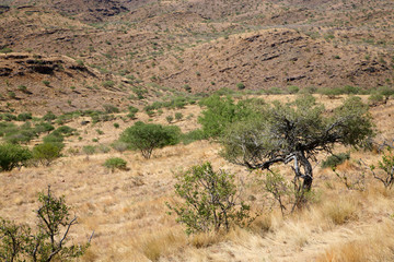 paysage du nord de western cape