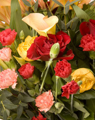 tulips, carnations & roses