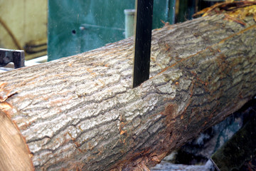 Fototapeta premium saw cutting wood