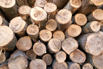 pile of wood
