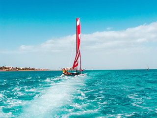 Naklejka premium red sea