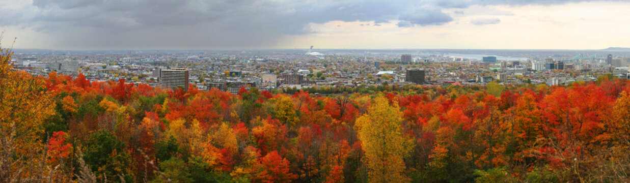 &eacute;t&eacute; indien sur montr&eacute;al