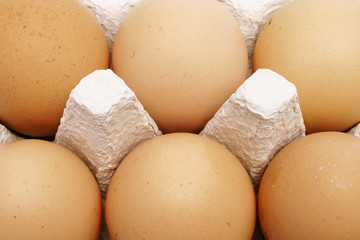 sechs braune eier