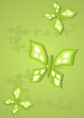 butterfly group
