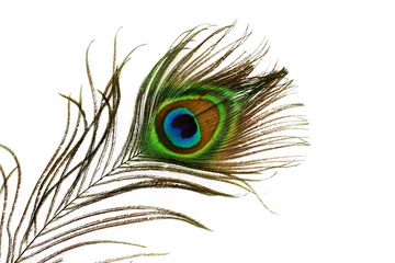 Zelfklevend Fotobehang pauwenveer oog © Brebca