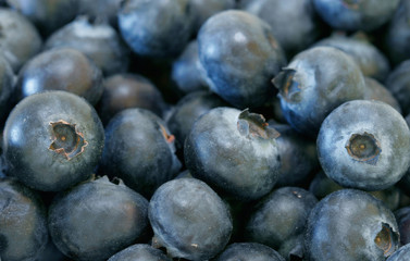 organic blueberries
