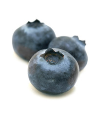Obraz premium blueberries trio