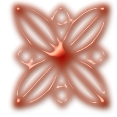 pink bloom illustration