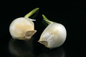 garlic