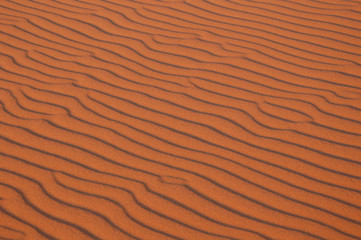 sahara desert