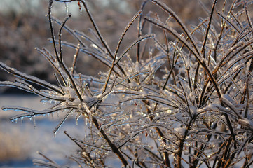 ice storm