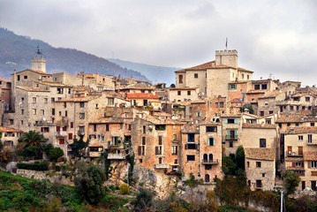Naklejka premium tourrettes sur loup