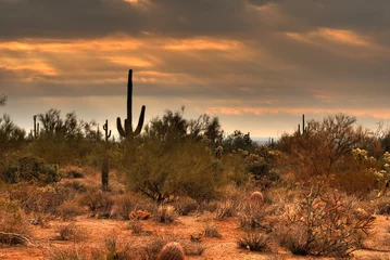 Foto op Canvas woestijnstorm nadert 7 © Paul Moore