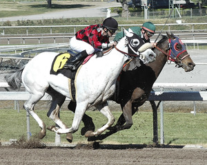 race horses & jockeys