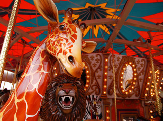 whimsical carousel © BCFC