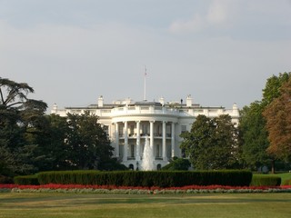 white house