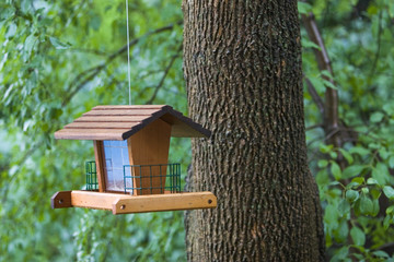 bird house