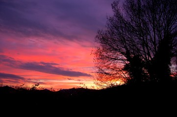 provence alpes cote d'azur